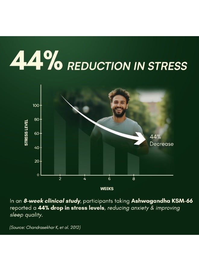 راسايانام اشواغاندا ksm66 500 ملغ - 60 كبسولة - Image 4